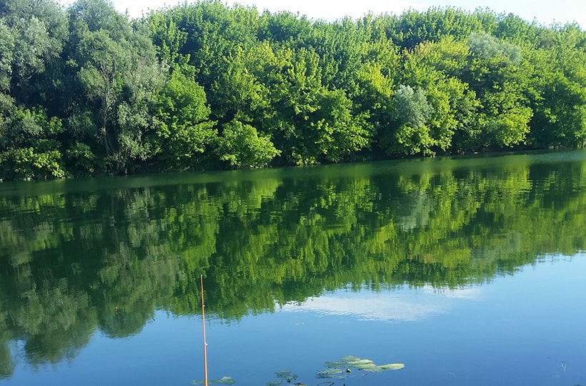 Rijeka i zelenilo uz ribolovne vode SRD Smuđ